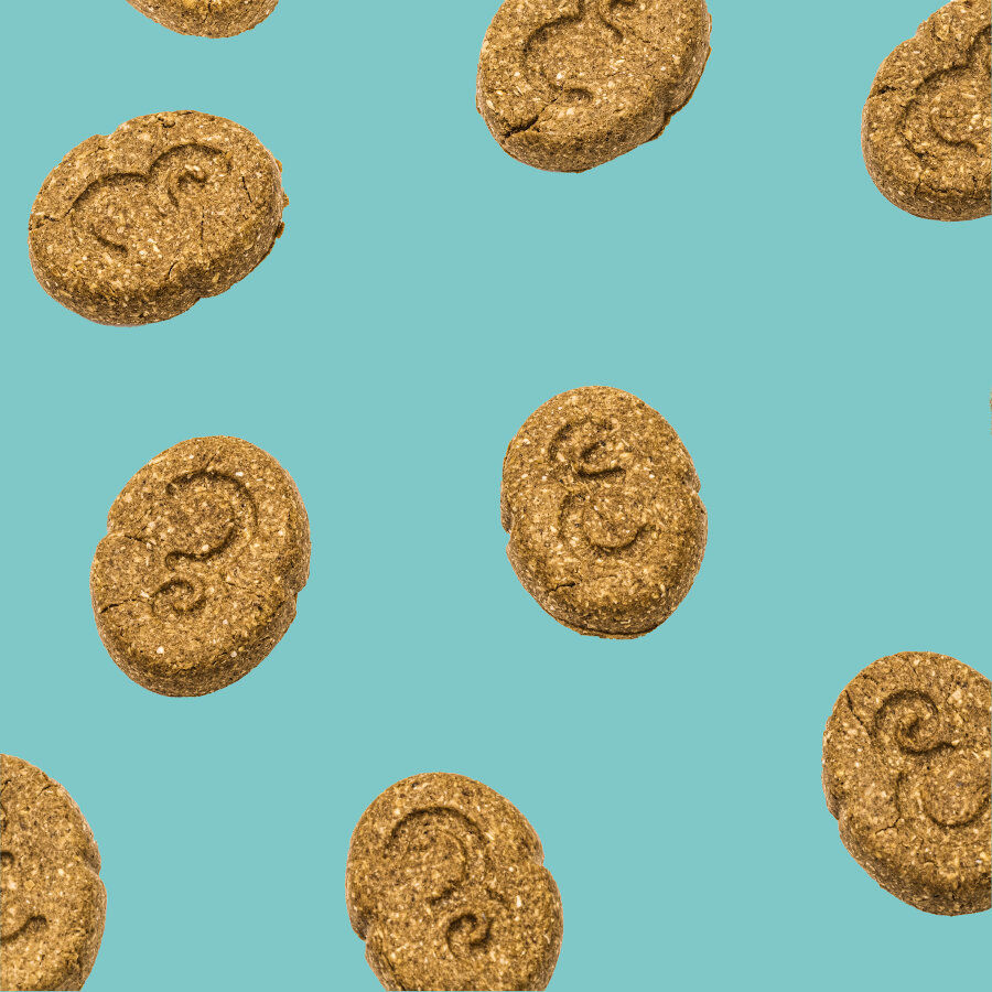 400 g Edgard & Cooper Galletas Festive de Pavo y Pato snack para perros, , large Imagen numero 4