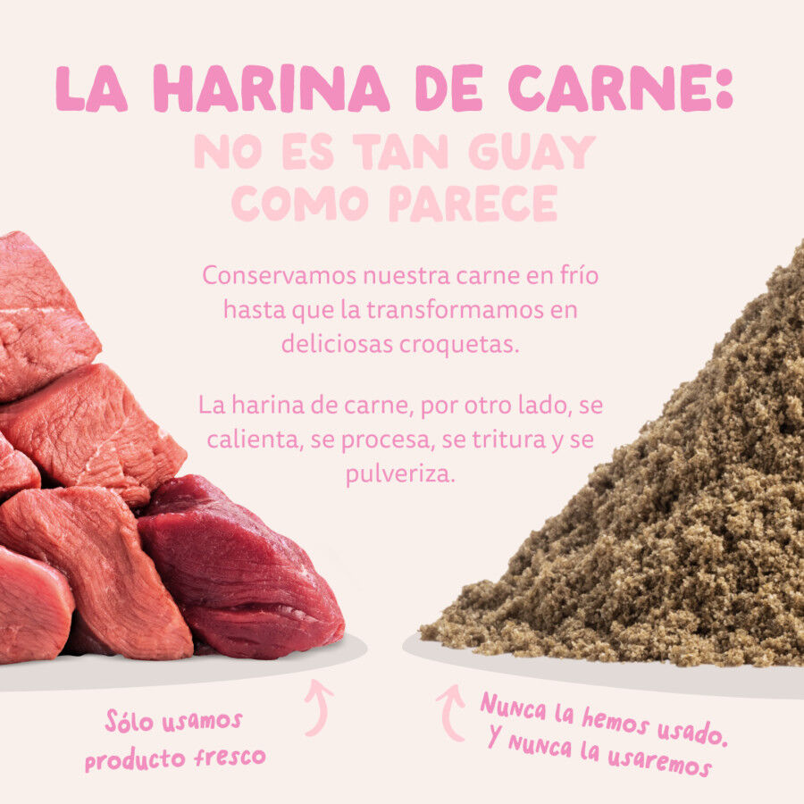 12 kg Edgard & Cooper Puppy Pato y Pollo pienso para perros, , large Imagen numero 9