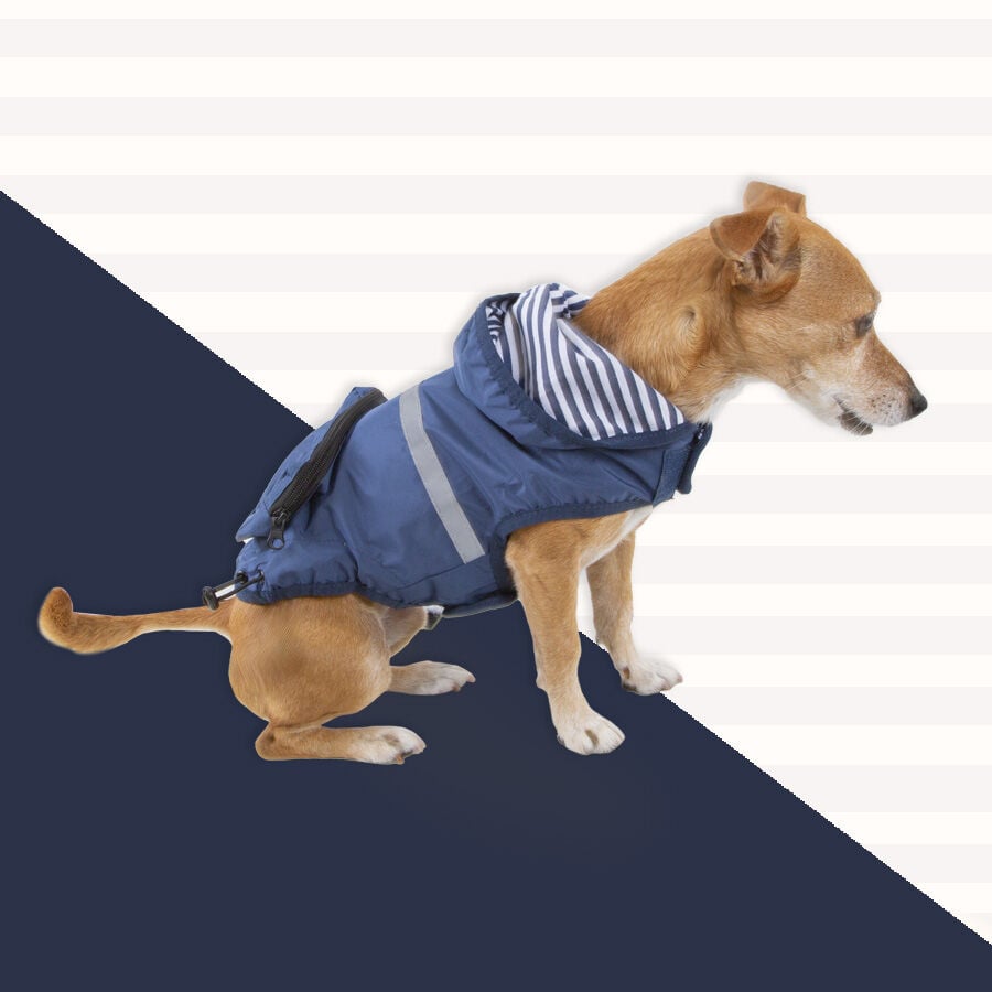 Outech Impermeable con Bolsillo Azul Marino para perros, , large Imagen numero 4