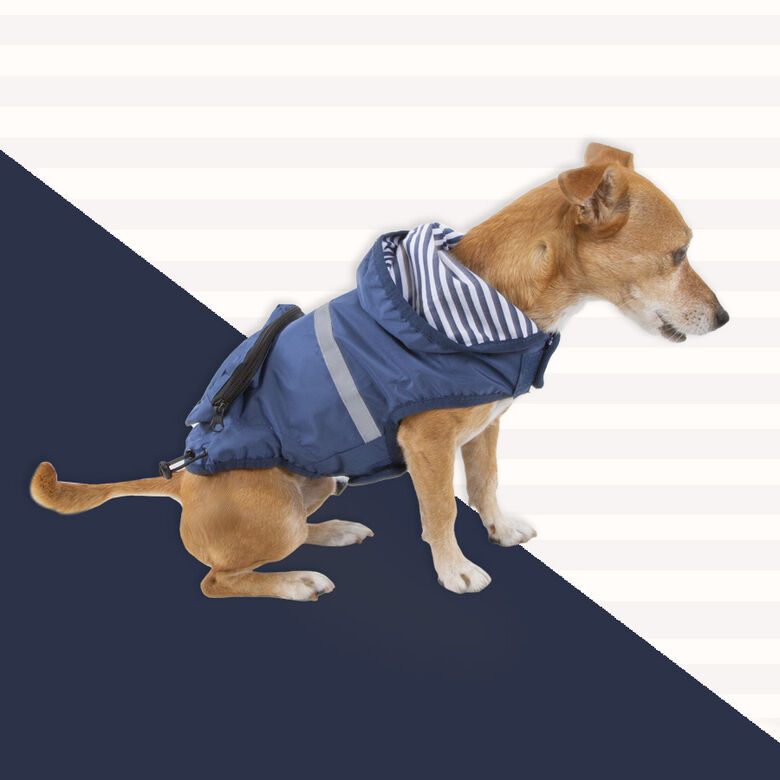 Outech Impermeable con Bolsillo Azul Marino para perros thumbnail
