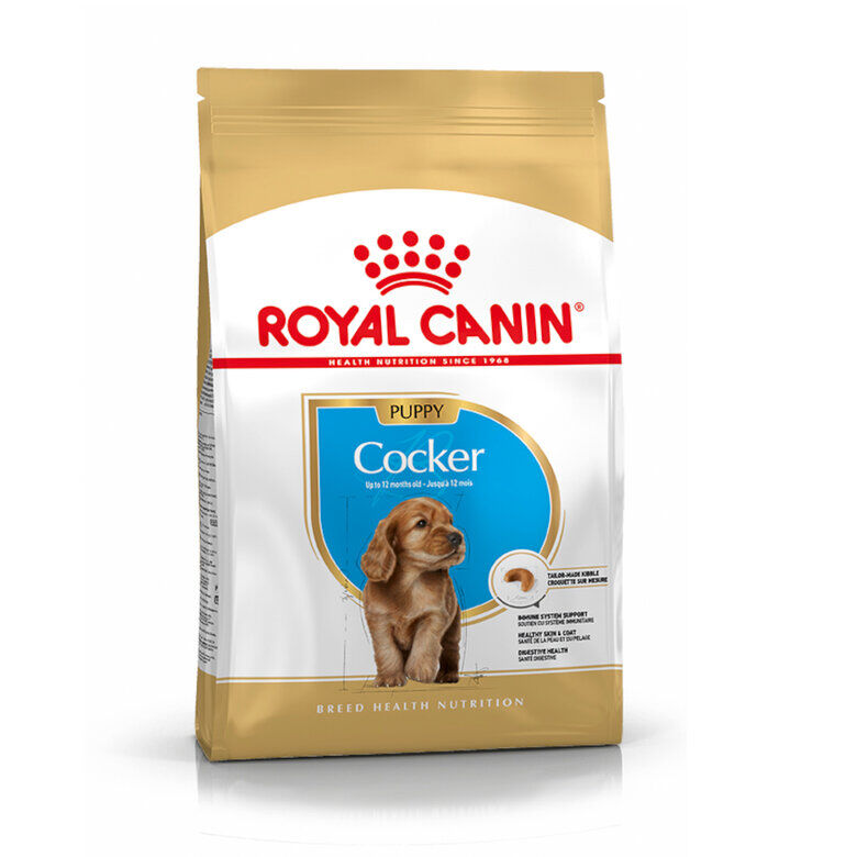 Royal Canin Puppy Cocker pienso para perros