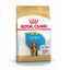 Royal Canin Puppy Cocker pienso para perros, , large indicador imagen numero 1