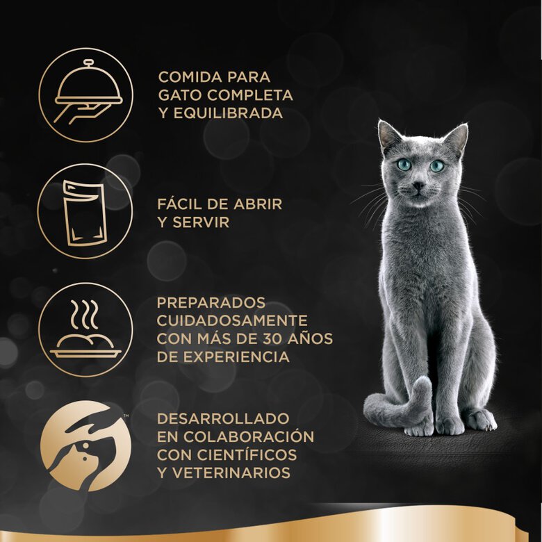 Sheba Selezione Pescados Salsa en Bolsita para Gatos - Multipack, , large image number null