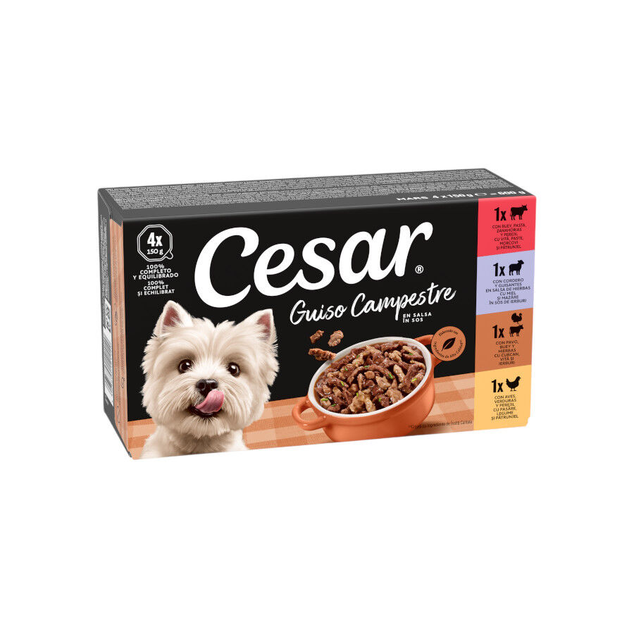 4 tarrinas x 150 g Cesar Receta campesina tarrina en Salsa para Perros , , large Imagen numero 1