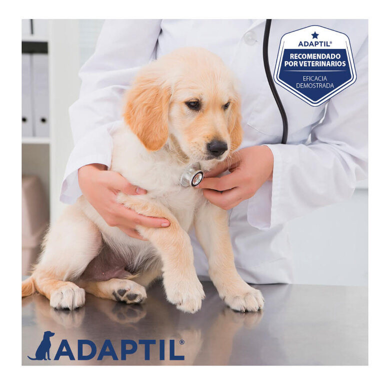 Adaptil Junior Collar Anti-estrés para perros , , large image number null