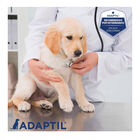 Adaptil Junior Collar Anti-estrés para perros , , large image number null