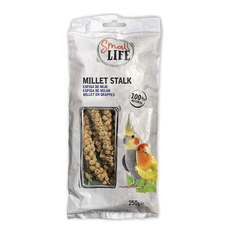 Small Life panizo en espiga para pájaros Imagen numero 1 Small Life panizo en espiga para pájaros Imagen numero 1