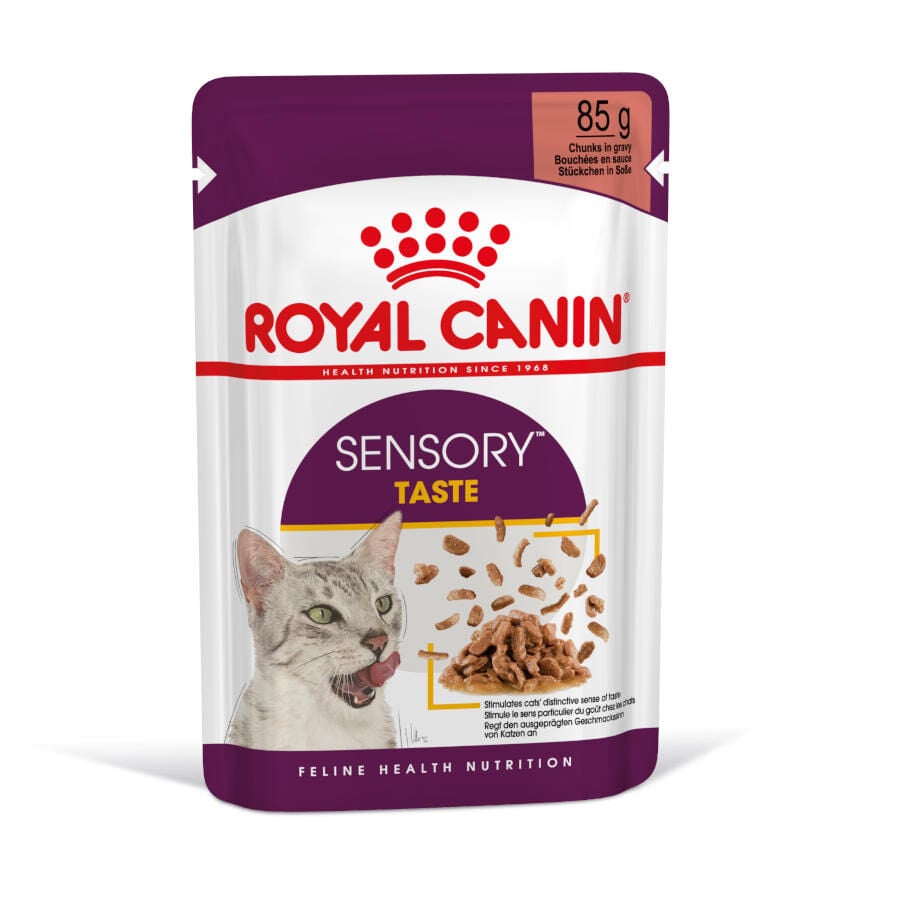 Royal Canin Adult Sensory Taste salsa sobre para gatos thumbnail