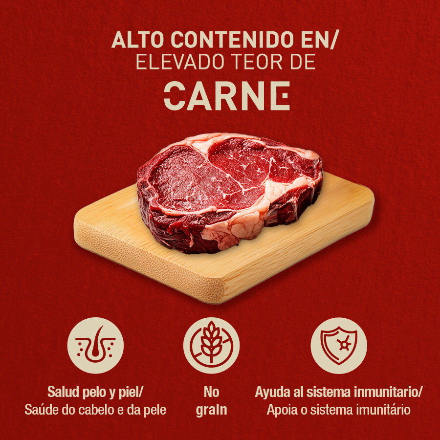 Catxtreme Cordero en paté lata para gatos thumbnail