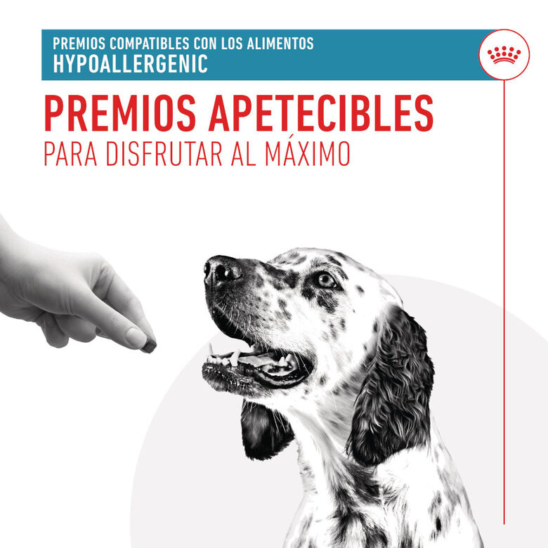 Royal Canin Treats Hypoallergenic Snacks para perros thumbnail