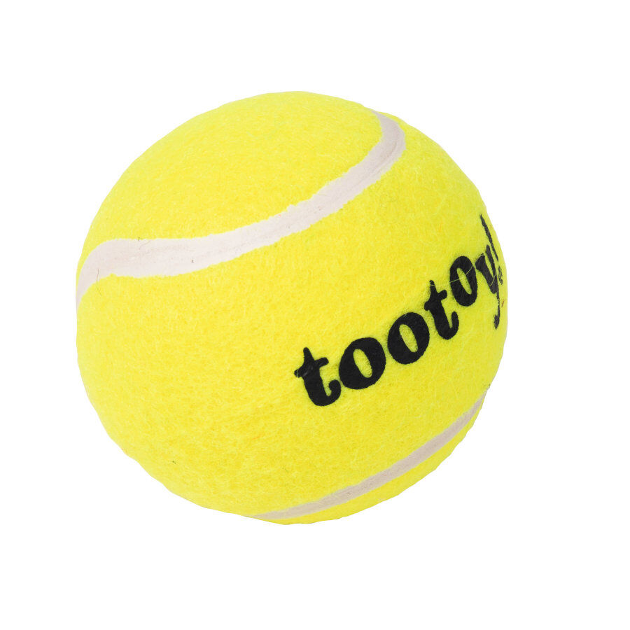 Tootoy! Chase Squeaker Ball pelota de tenis para perros thumbnail