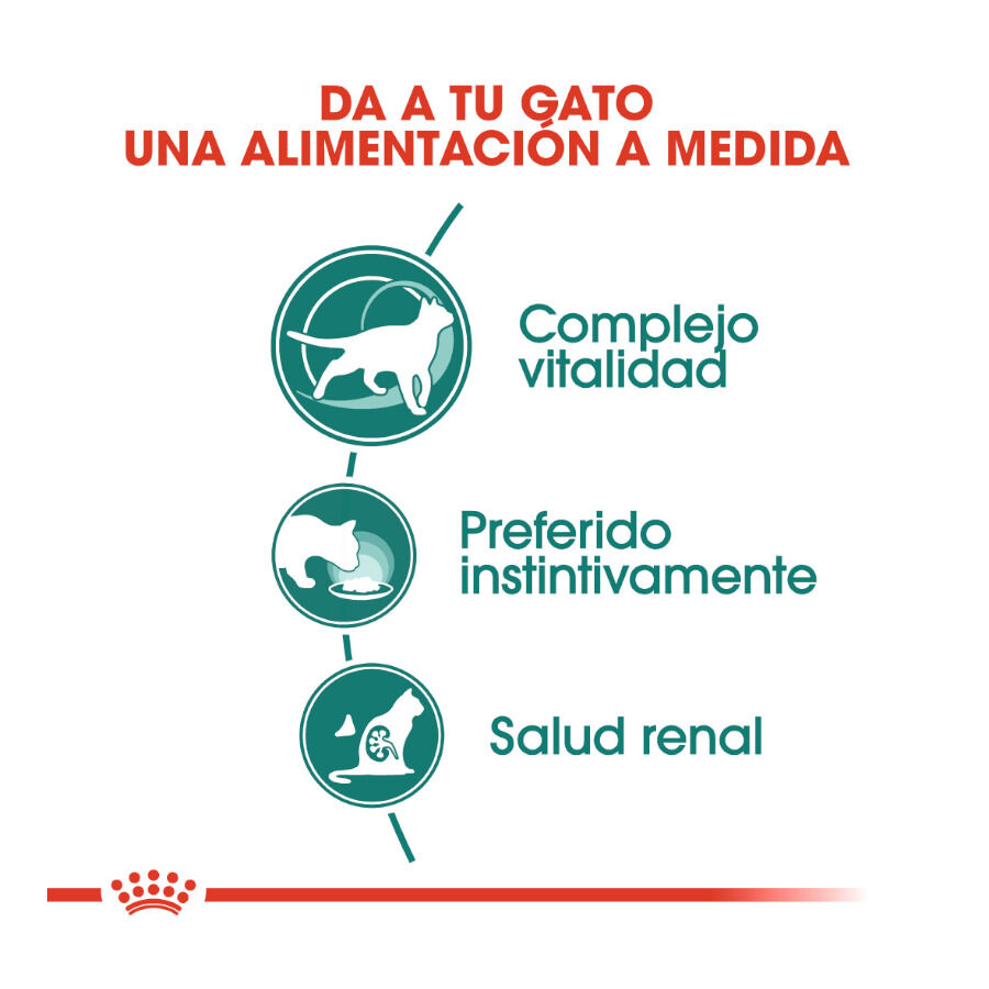 Royal Canin Senior 7+ Instinctive sobres para gatos thumbnail
