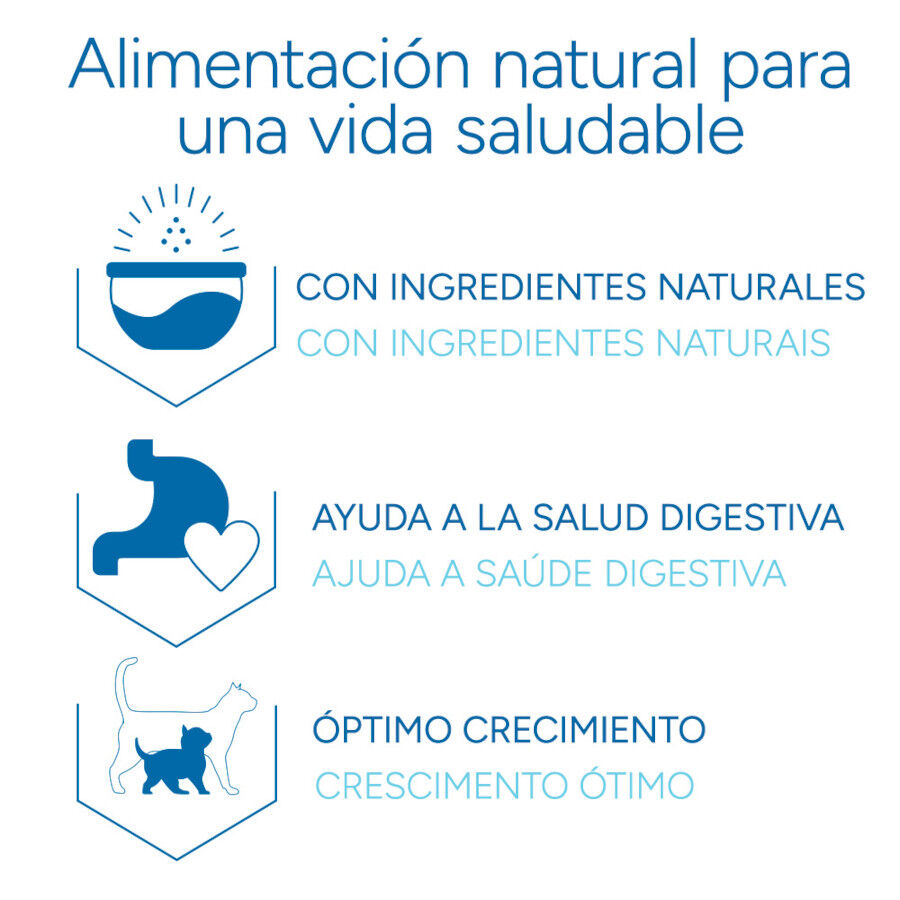 Criadores Científico Kitten pollo pienso para gatitos thumbnail