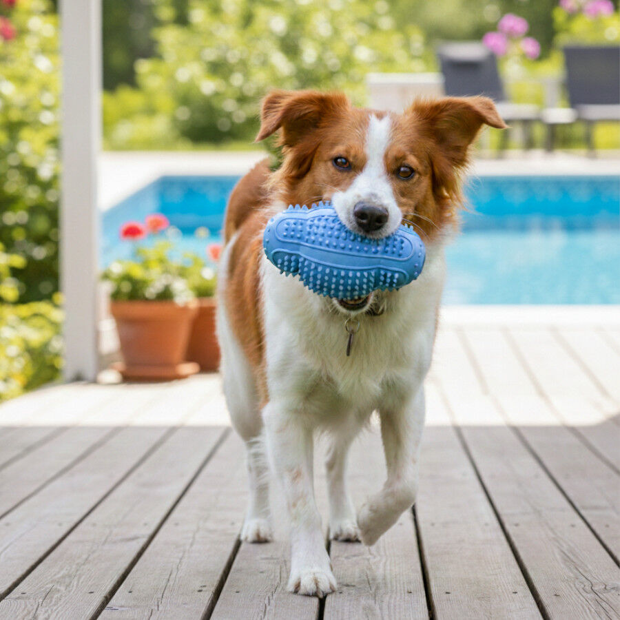 Summer Vibes Pelota Rugby Mordedor Juguete para perros, , large Imagen numero 1