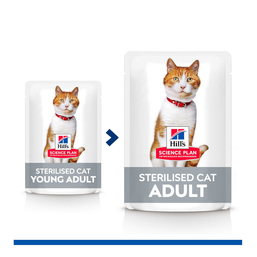 85 g Hill's Science Plan Sterilised Young Adult Trucha Sobre en Salsa para gatos, , large Imagen numero 3