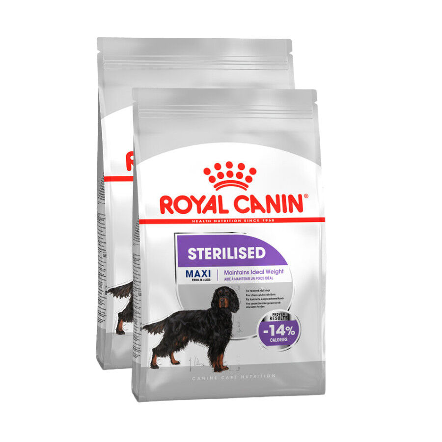 Royal Canin Sterilised Maxi pienso para perros