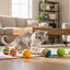 Tootoy! Pelotas de Colores para gatos, , large indicador imagen numero 1