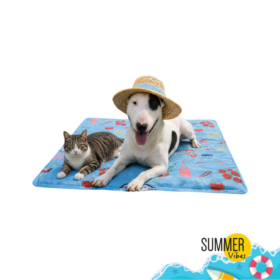Summer Vibes Manta Refrescante Dolce Vita para perros y gatos, , large Imagen numero 7