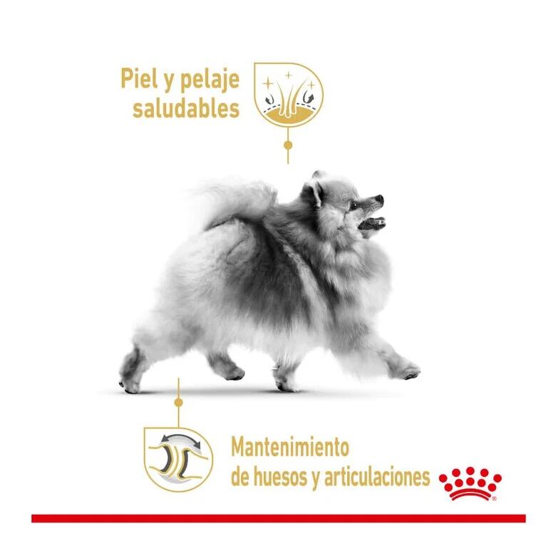 Royal Canin Pomeranian Adult pienso para perros thumbnail
