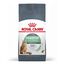 10 kg Royal Canin Adult Digestive pienso para gatos, , large indicador imagen numero 1