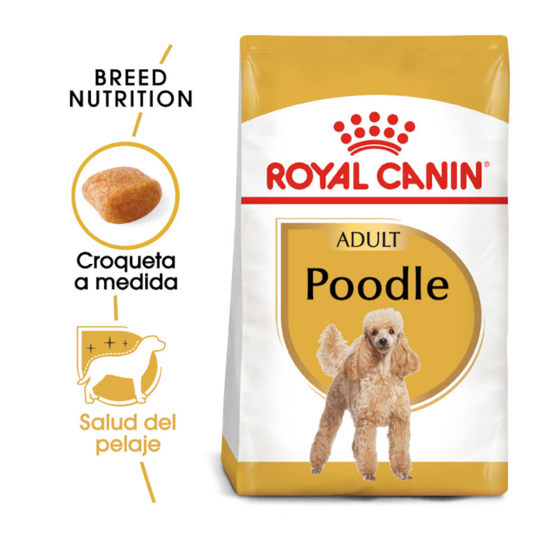 Royal Canin Adult Poodle pienso para perros thumbnail