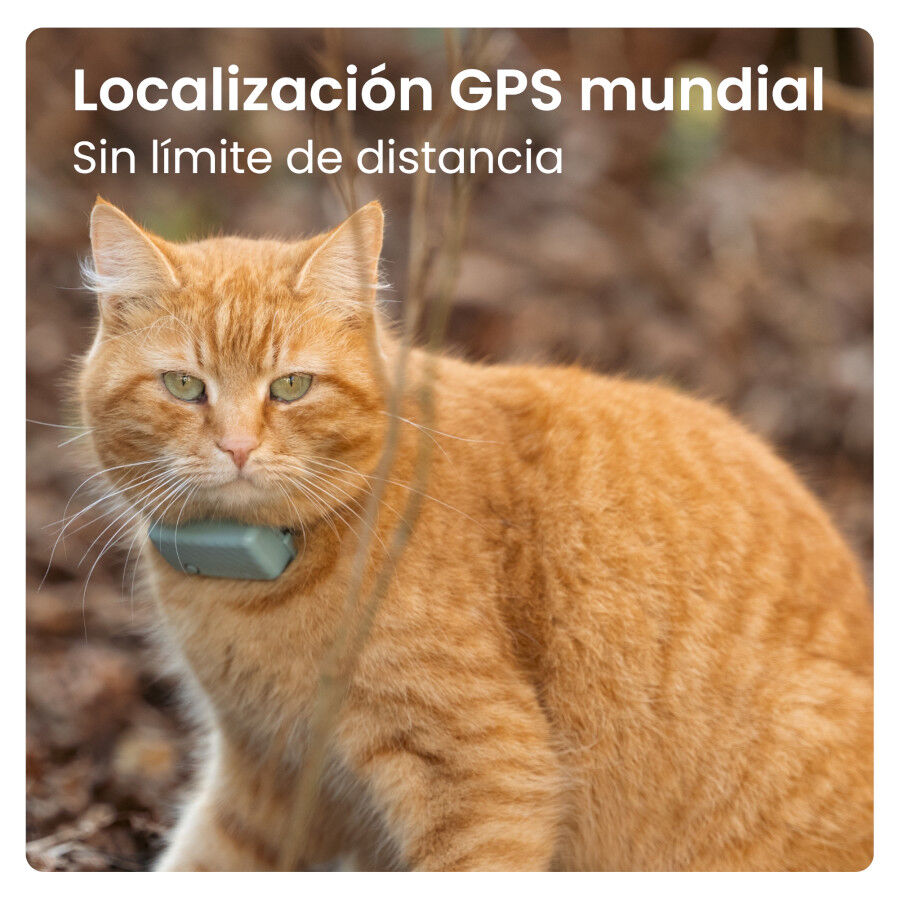 Tractive Cat Mini Localizador GPS Menta para gatos thumbnail