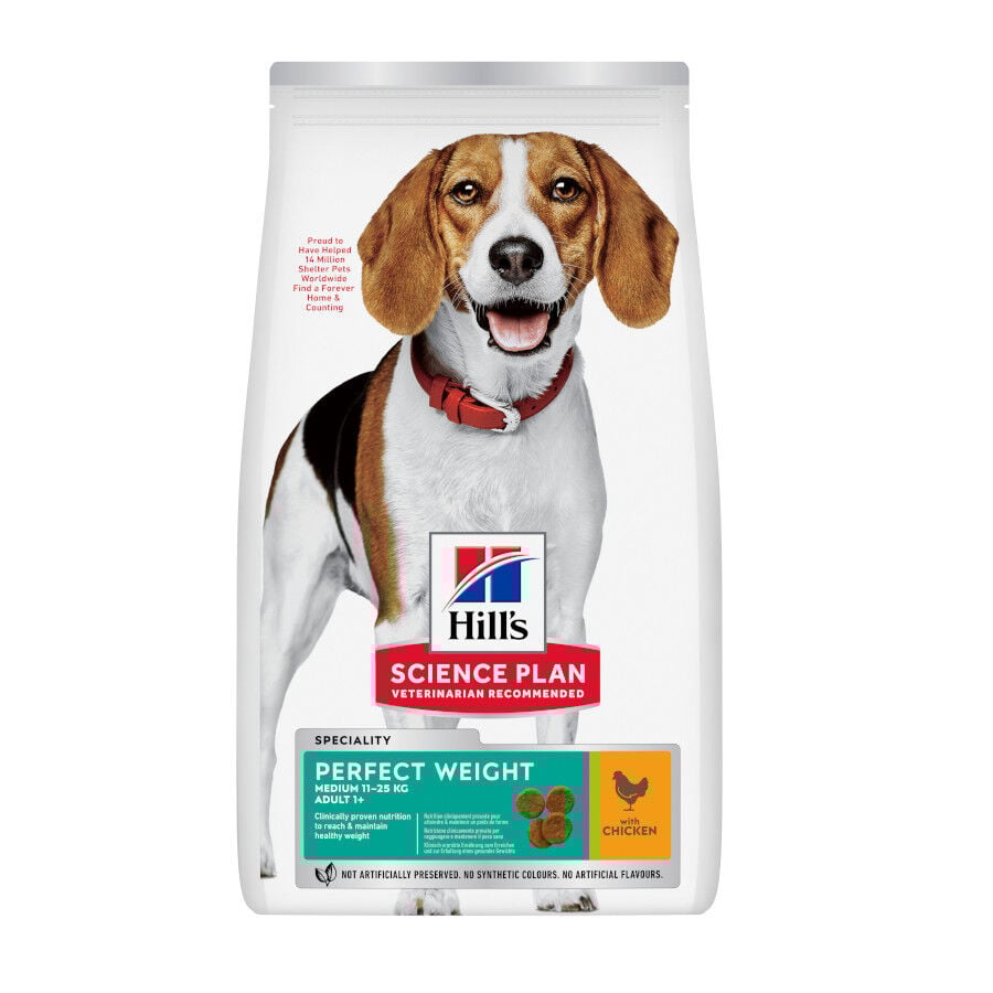 Hill&#039;s Science Plan Perfect Weight Adult Medium Pollo pienso para perros thumbnail