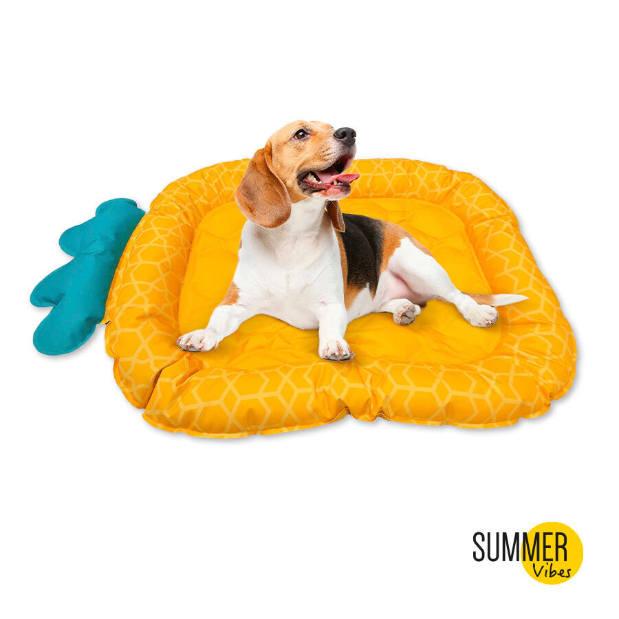 Summer Vibes Cama con forma de piña refrescante para perros thumbnail