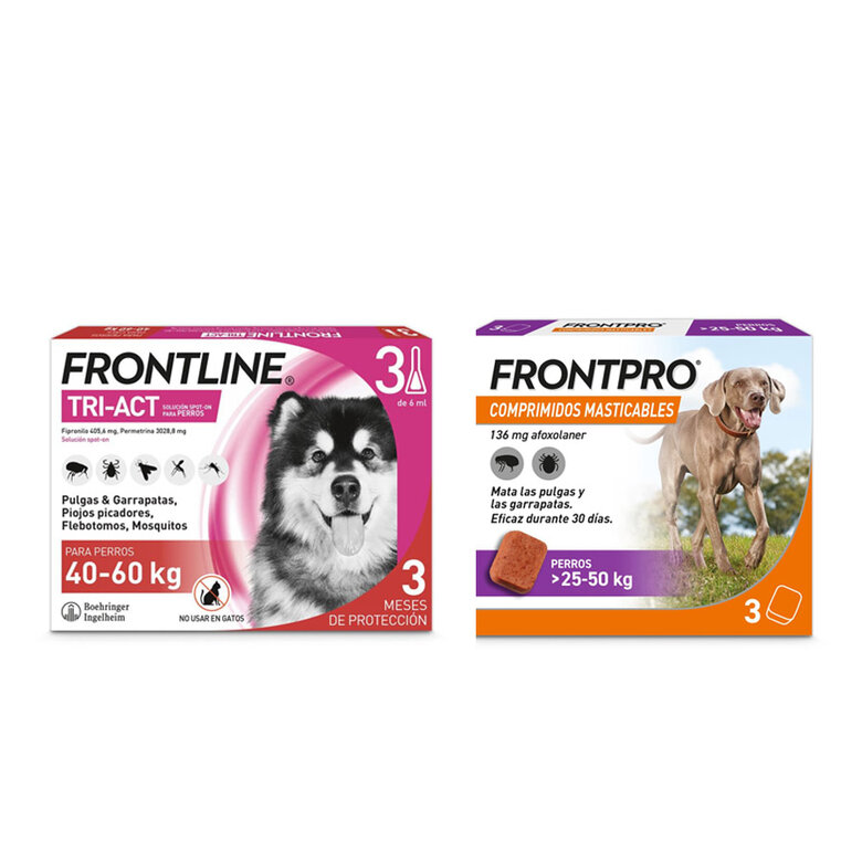 Pack Frontline Tri-Act pipetas + Frontpro comprimidos masticables para perros gigantes, , large image number null