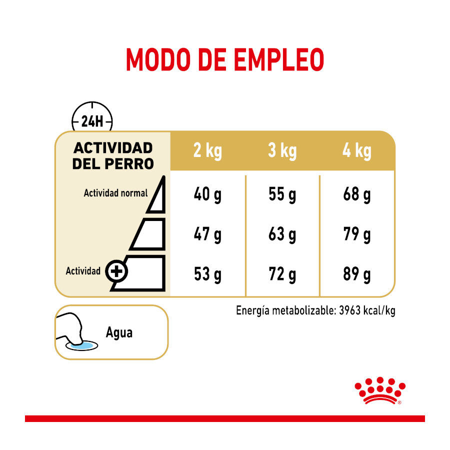 Royal Canin Adult 8+ Yorkshire pienso para perros thumbnail