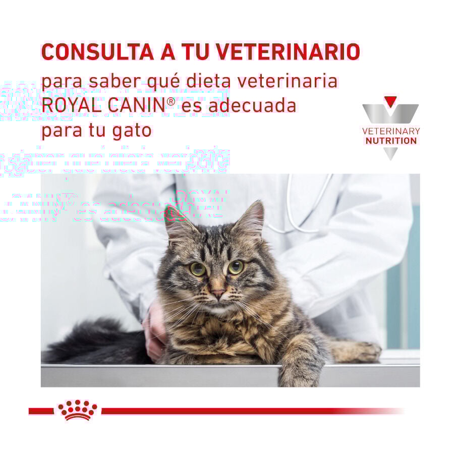 Royal Canin Veterinary Hepatic pienso para gatos thumbnail