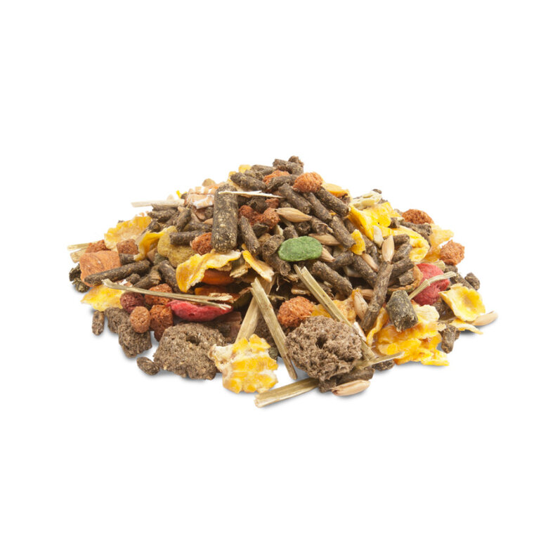 Versele-Laga Crispy Muesli pienso para cobayas,  Imagen numero 2 Versele-Laga Crispy Muesli pienso para cobayas, , large Imagen numero 2