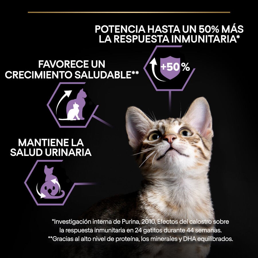 Pro Plan Kitten Pollo pienso para gatitos thumbnail