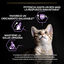 3 kg Pro Plan Kitten Pollo pienso para gatitos, , large indicador imagen numero 3