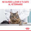 10 kg Royal Canin Intense Hairball pienso para gatos, , large indicador imagen numero 11