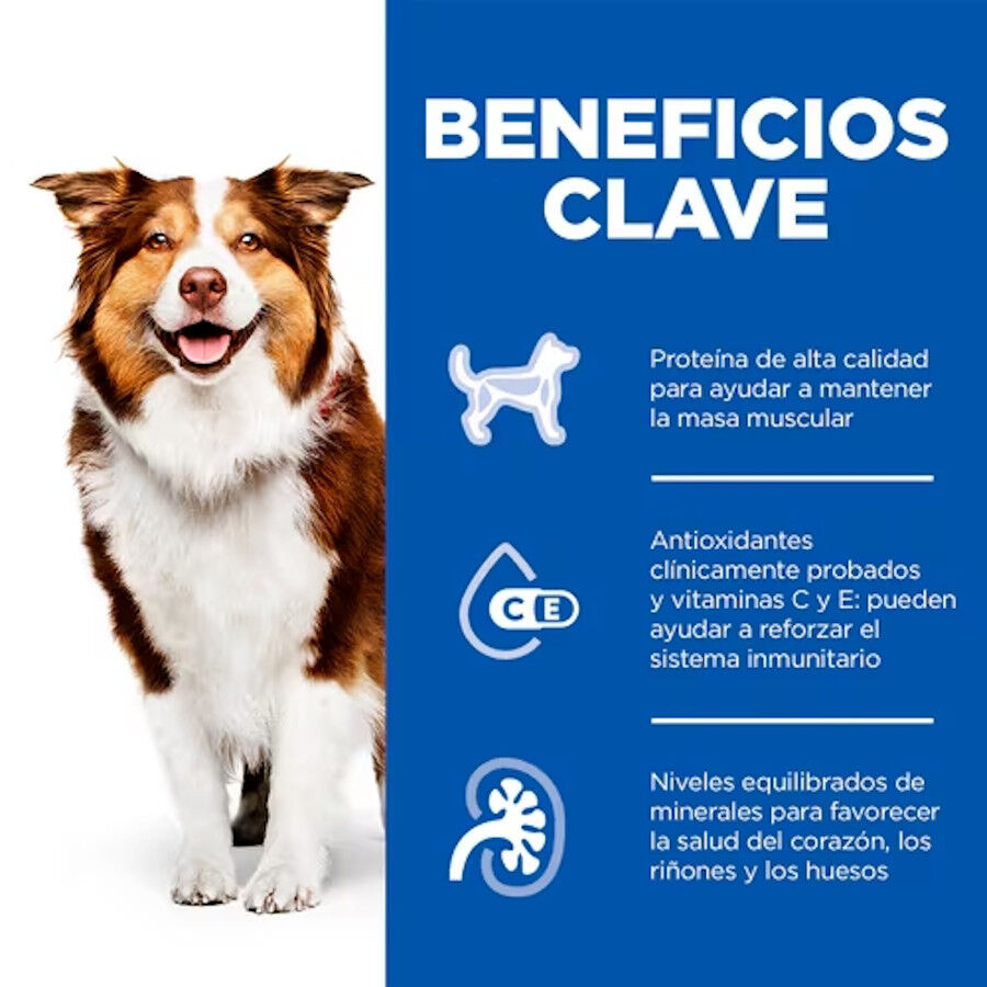 Hill&#039;s Science Plan Mature Adult 7+ Ternera en Paté lata para perros thumbnail