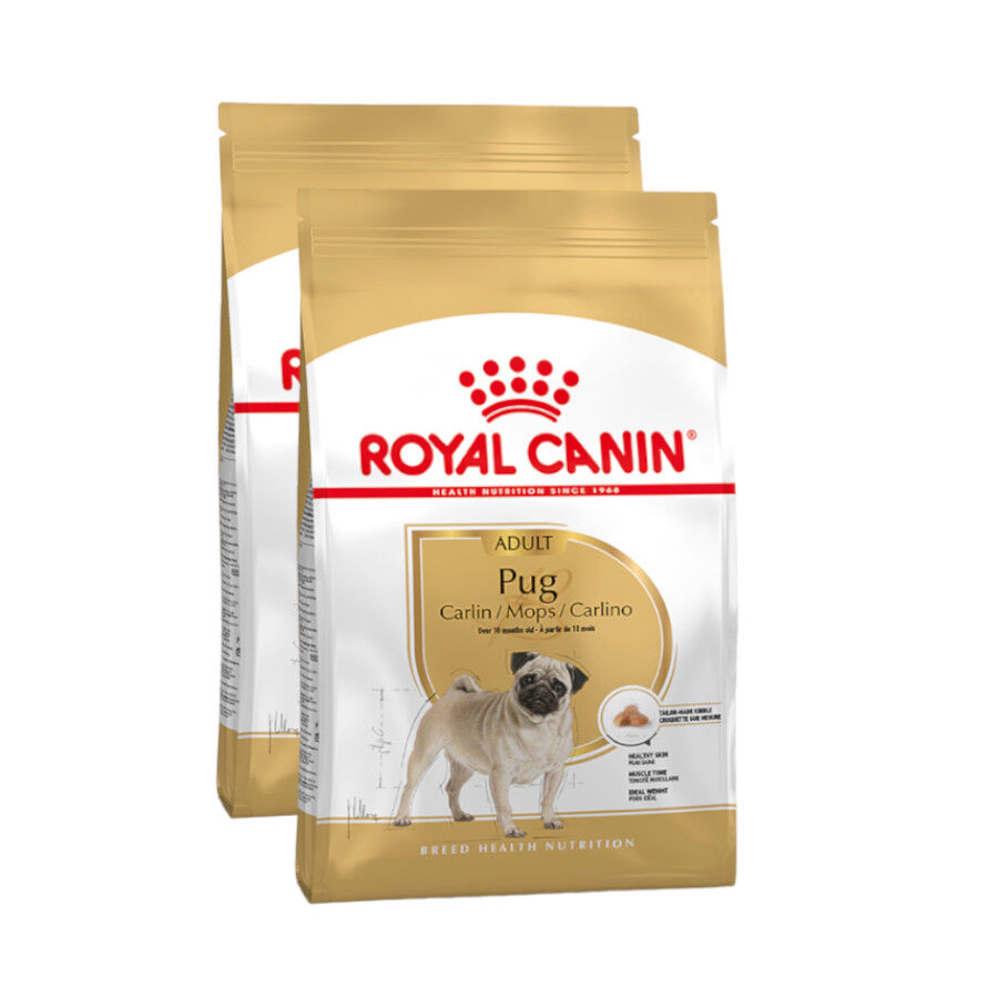 Royal Canin Adult Pug pienso para perros