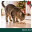 1 bolsita Wonder Christmas Chips Pollo Snacks para gatos, , large indicador imagen numero 2