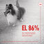 240 g Royal Canin Skin & Coat Chews Adult Suplemento nutricional para perros, , large indicador imagen numero 8