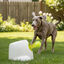 All For Paws Interactives Lanzador Pelotas para perros, , large indicador imagen numero 1