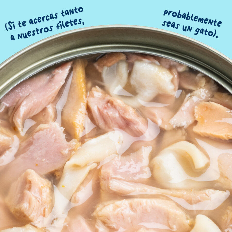 70 g Edgard & Cooper Filetes de At&uacute;n y Calamar lata para gatos, , large Imagen numero 5
