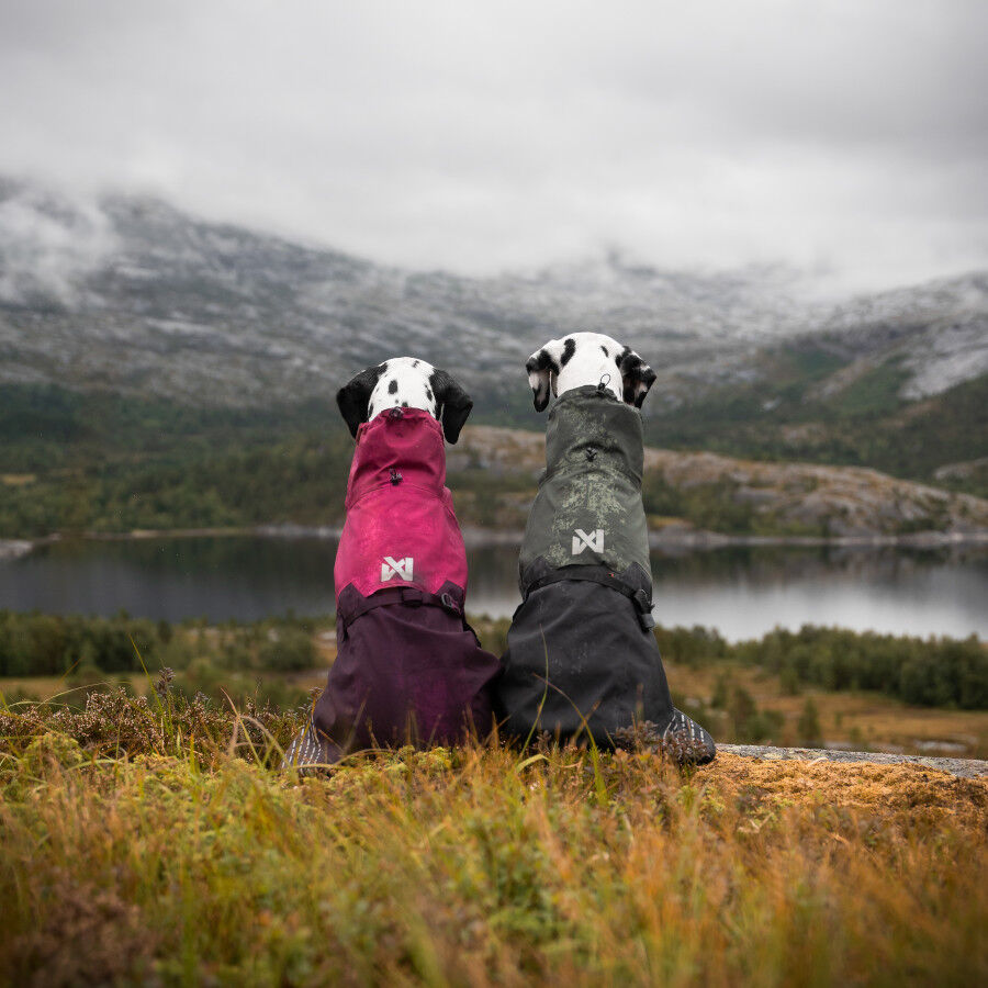 Non-stop dogwear Fjord Chubasquero Impermeable Púrpura para perros thumbnail