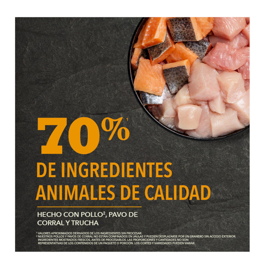 11.4 kg Acana Wild Prairie pienso para perros, , large Imagen numero 5