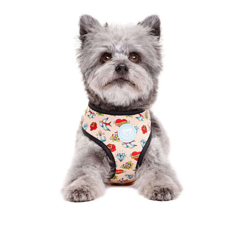 Dukier Arnés Reversible Estampado Tattoo para perros thumbnail