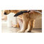 Hansgrohe Alcachofa de Ducha Negra para perros, , large indicador imagen numero 5