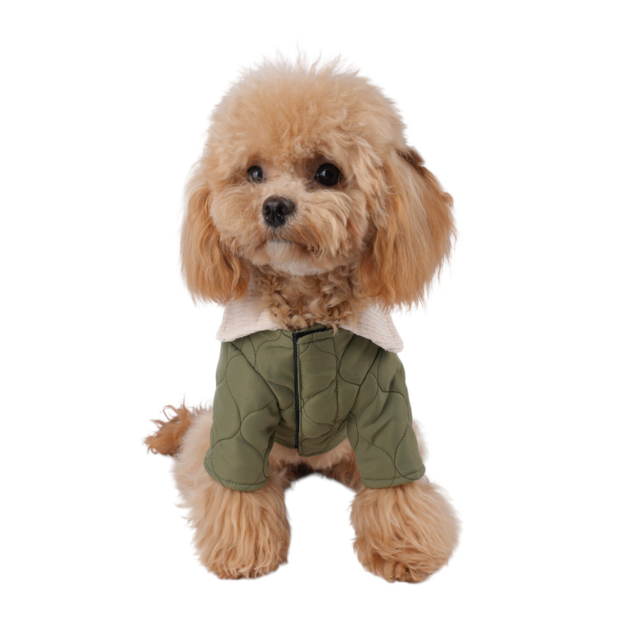 Gotoo Abrigo Acolchado Verde para perros, , large Imagen numero 7