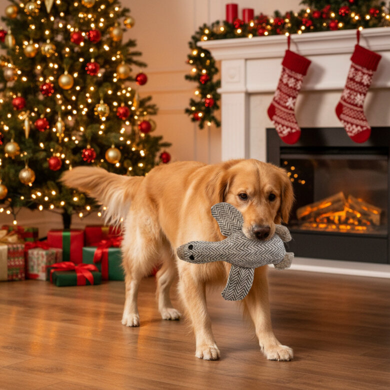 Wonder Christmas Peluche Pato Navideño para perros,  Imagen numero 3 Wonder Christmas Peluche Pato Navideño para perros, , large Imagen numero 3