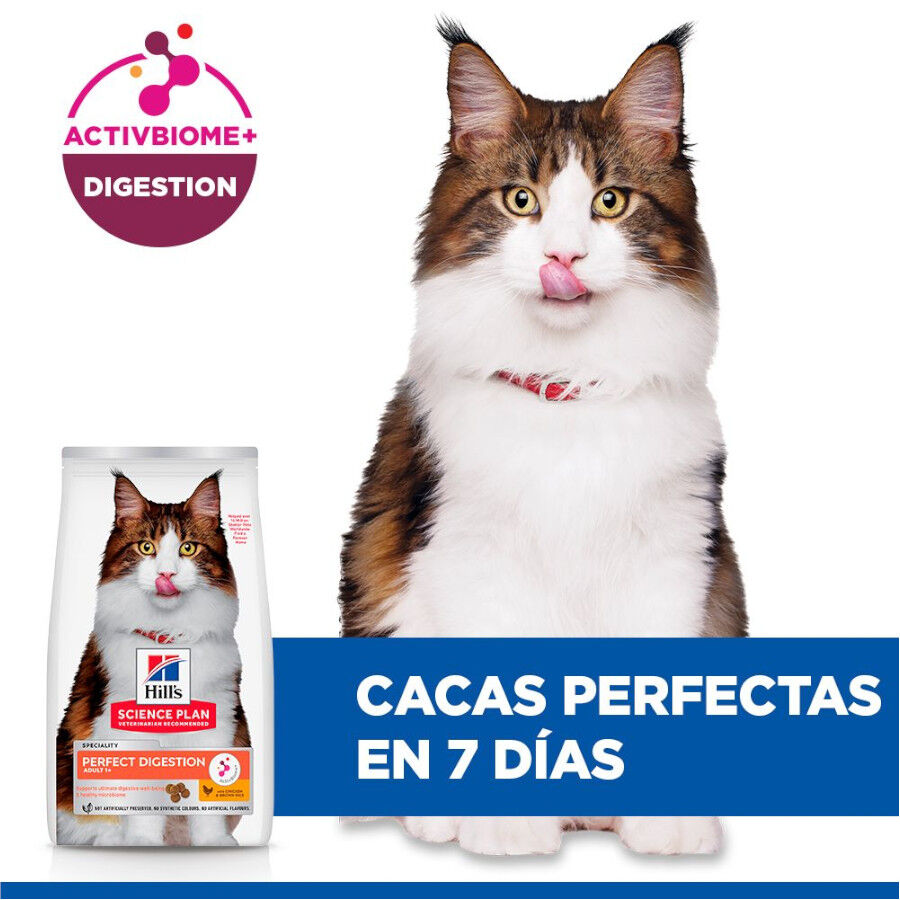 Hill&#039;s Science Plan Perfect Digestion Adult Pollo Pienso para gatos thumbnail