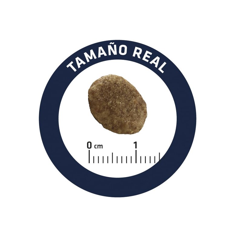 Affinity Advance Veterinary Diets Urinary pienso para gatos, , large image number null
