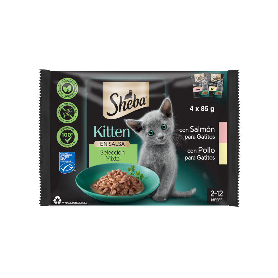 Sheba Kitten Pollo y Salmón Sobre en Salsa para gatos